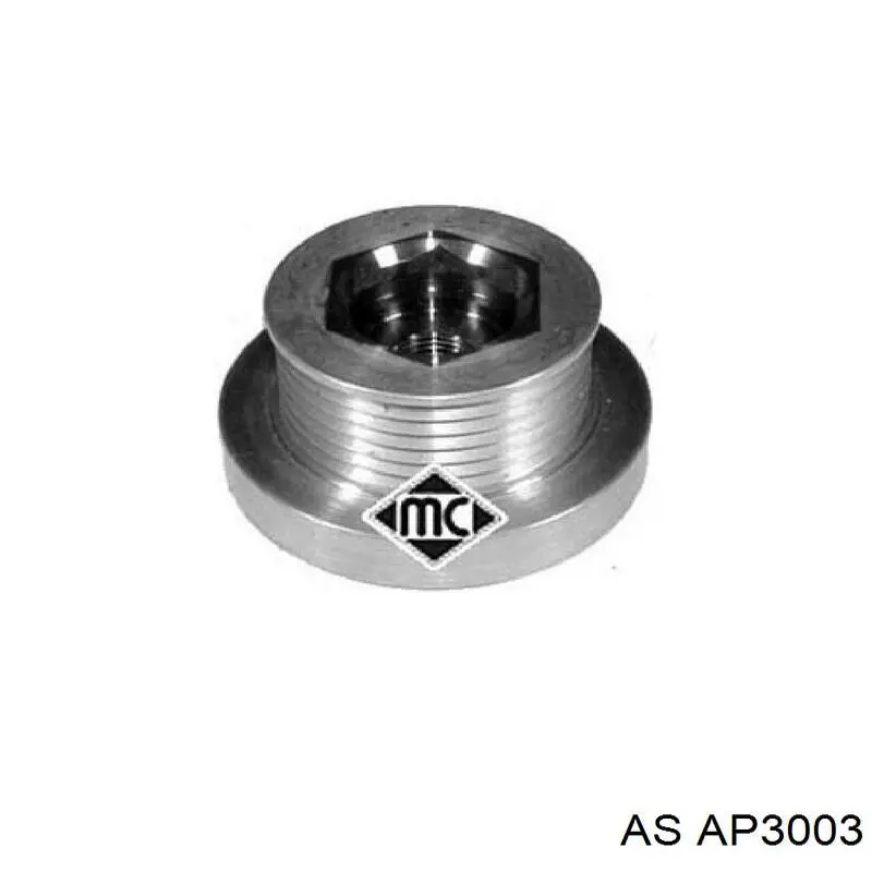 AP3003 AS/Auto Storm koło pasowe alternatora