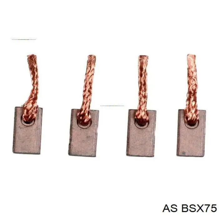 Szczotka rozrusznika BS750 Cargo