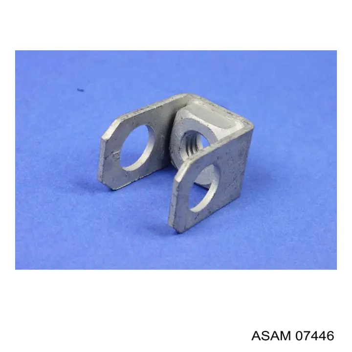 07446 Asam Antena