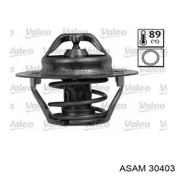 Termostat Asam 30403 cena, od 13,32 USD