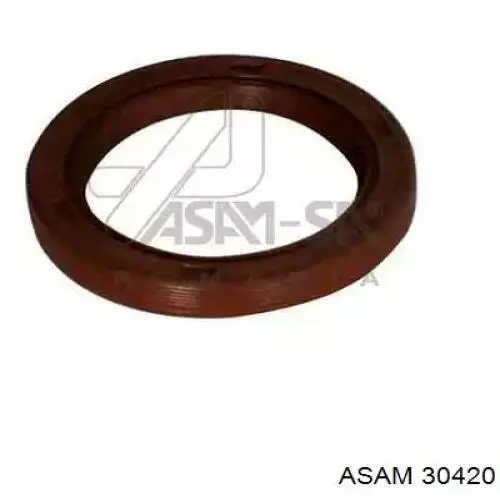 Uszczelniacz wału korbowego przedni 7700273776 Renault (RVI)