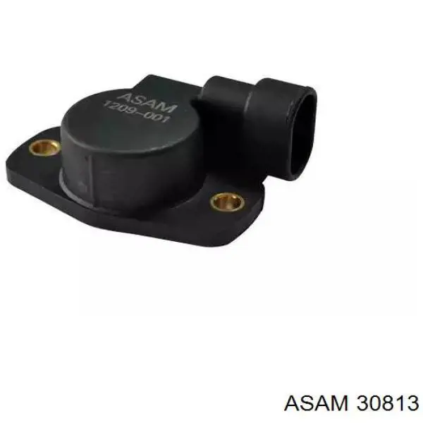 Czujnik położenia przepustnicy (potencjometr) Asam 30813 cena, od 17,93 USD
