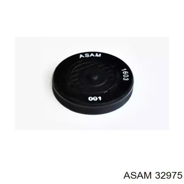 Zaślepka głowicy cylindrów/bloku cylindrów Asam 32975 cena, od 3,88 USD