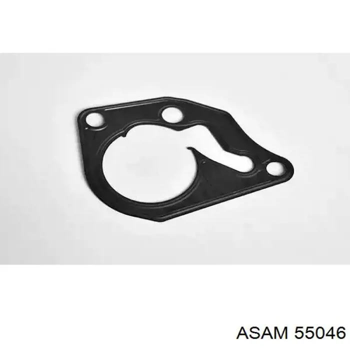 55046 Asam Uszczelka pompy próżniowej
