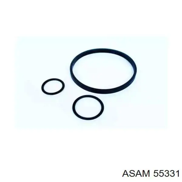 55331 Asam Uszczelka adaptera filtra oleju
