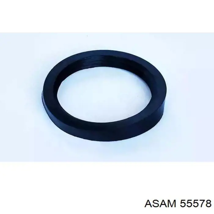 55578 Asam Uszczelka przepustnicy