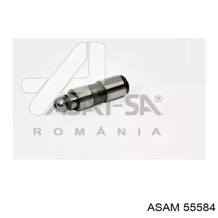 Kompensator hydrauliczny (popychacz hydrauliczny), popychacz zaworu 7700102350 Renault (RVI)