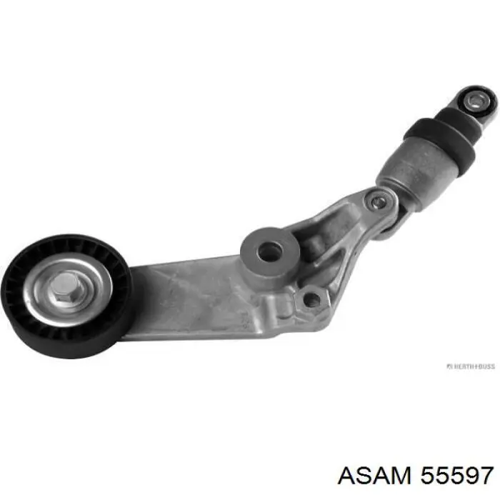 Napinacz paska napędowego Asam 55597 cena, od 17,65 USD