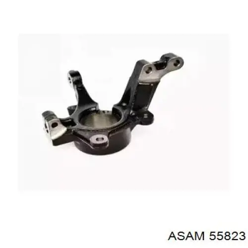 Czop (zwrotnica) przedni lewy Asam 55823 cena, od 74,31 USD