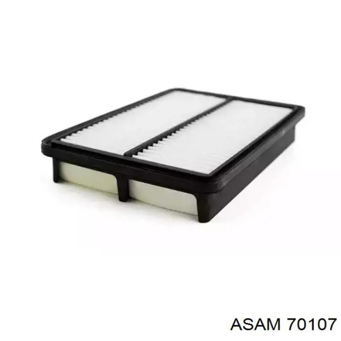 70107 Asam Filtr powietrza