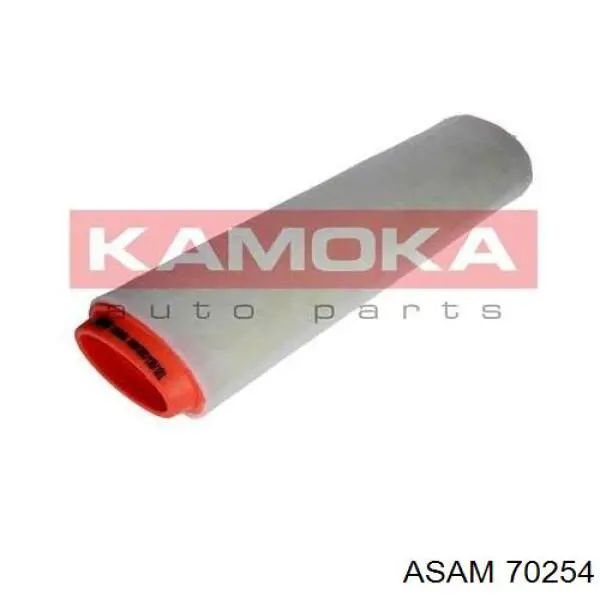 70254 Asam Filtr powietrza