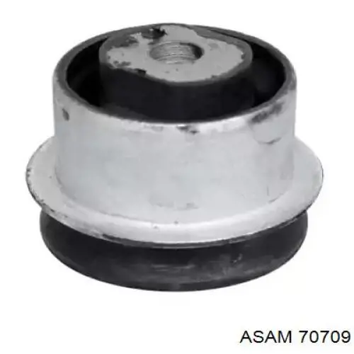 Silentblock tylnego wahacza podłużnego przedni Asam 70709 cena, od 14,25 USD
