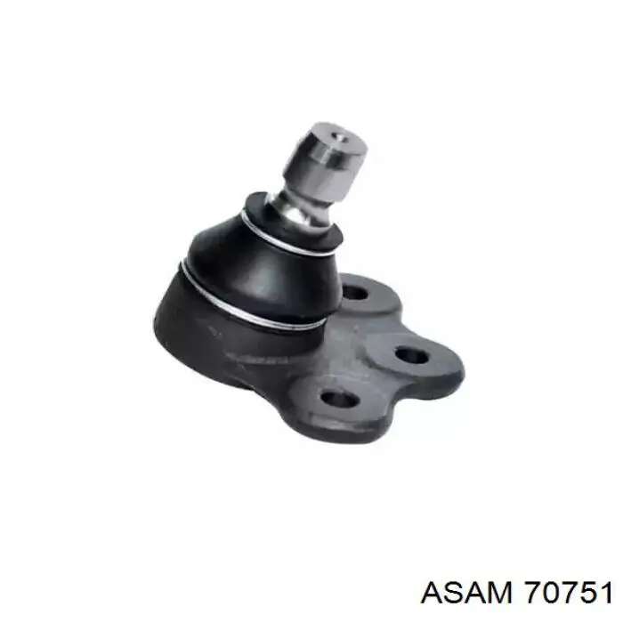 Sworzeń wahacza dolny Asam 70751 cena, od 14,12 USD