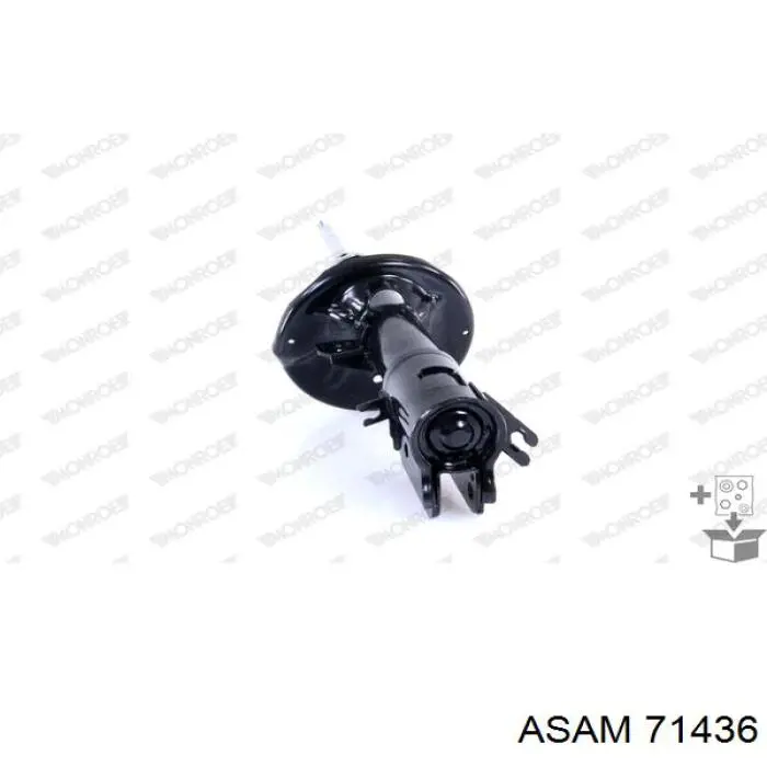 Amortyzator tylny Asam 71436 cena, od 38,71 USD