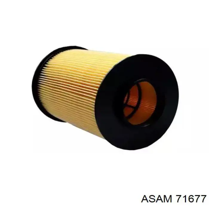 71677 Asam Filtr powietrza