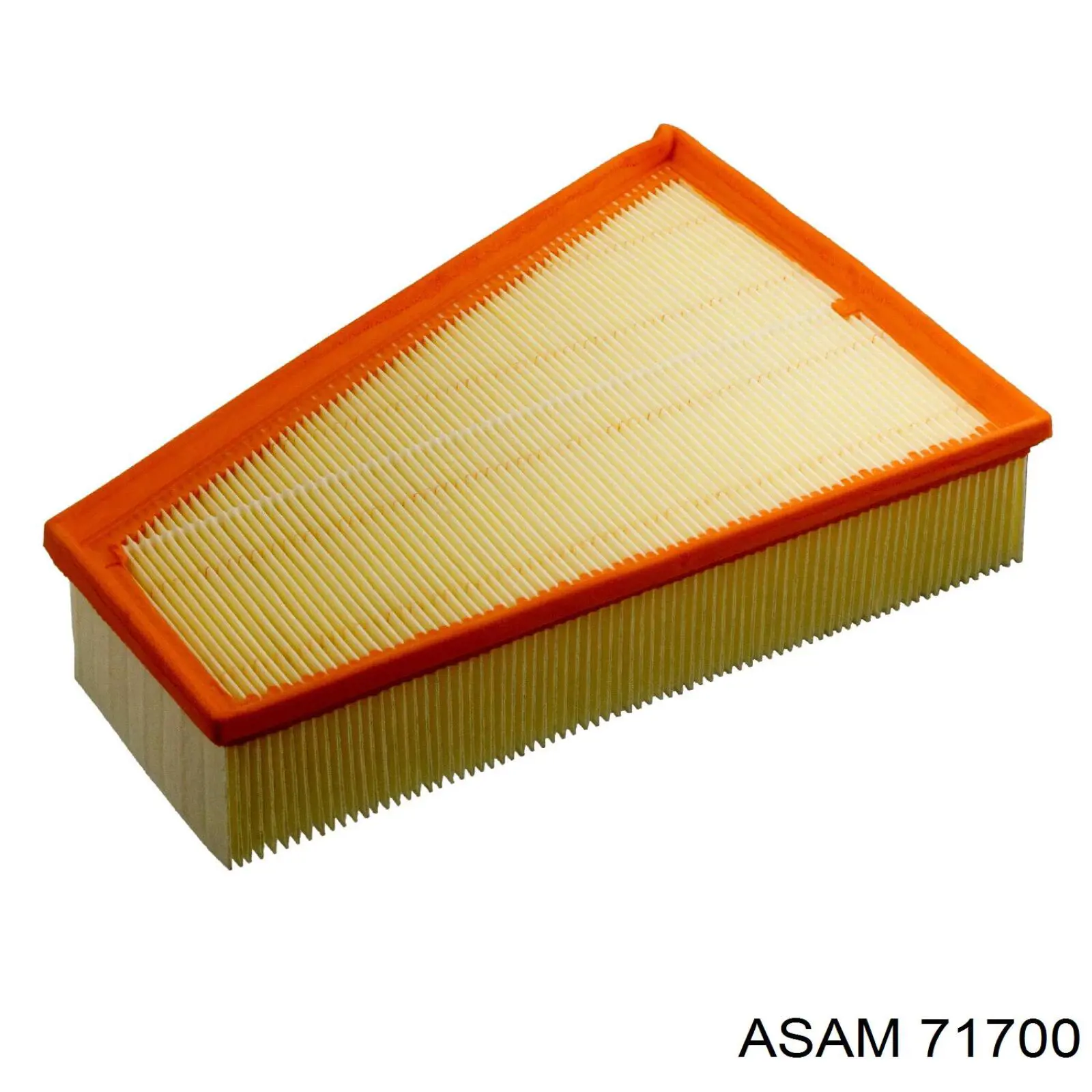 71700 Asam Filtr powietrza