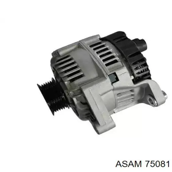 231007344R Renault (RVI) Alternator