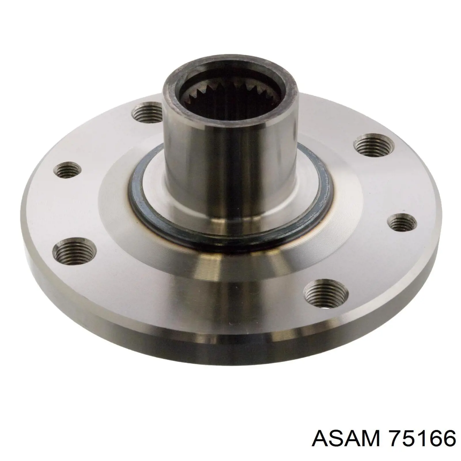 75166 Asam Piasta przednia