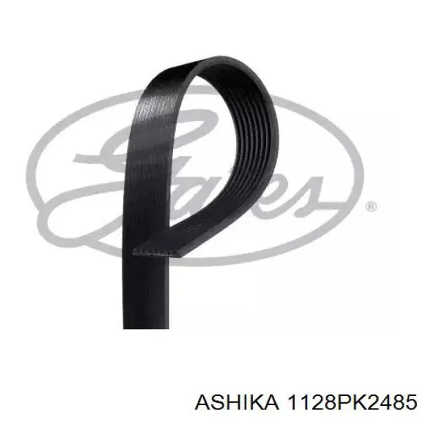 1128PK2485 Ashika