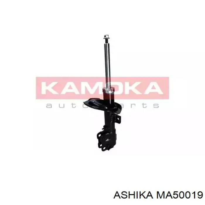 MA50019 Ashika Amortyzator tylny