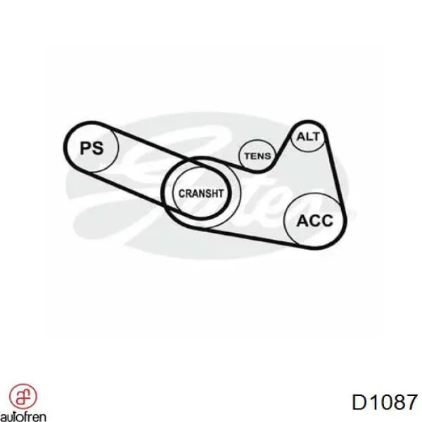 Zestaw naprawczy głównego cylindra hamulcowego Ford Escort III hatchback (GAA, AWA, ABFT, AVA) (1980 - 1985) cena, od 14,22 USD