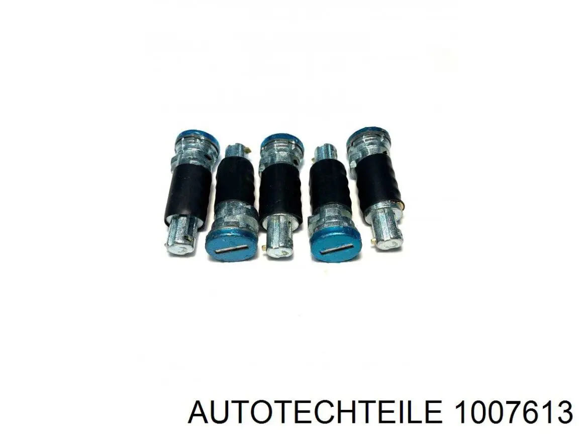 Klamka drzwi przednich zewnętrzna Autotechteile 1007613 cena, od 14,86 USD