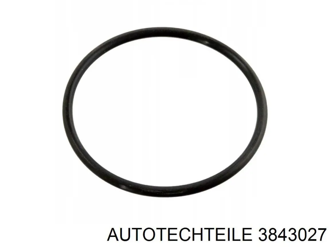 Uszczelniacz drzwi bocznych (przesuwnych) 3843027 Autotechteile