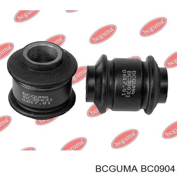 Do koszyka Silentblock przedniego wahacza dolnego Peugeot J5  290 P