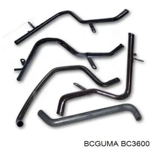 BC3600 Bcguma Silentblock przedniego wahacza dolnego
