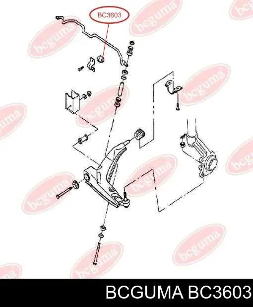 BC3603 Bcguma Tuleja stabilizatora przedniego