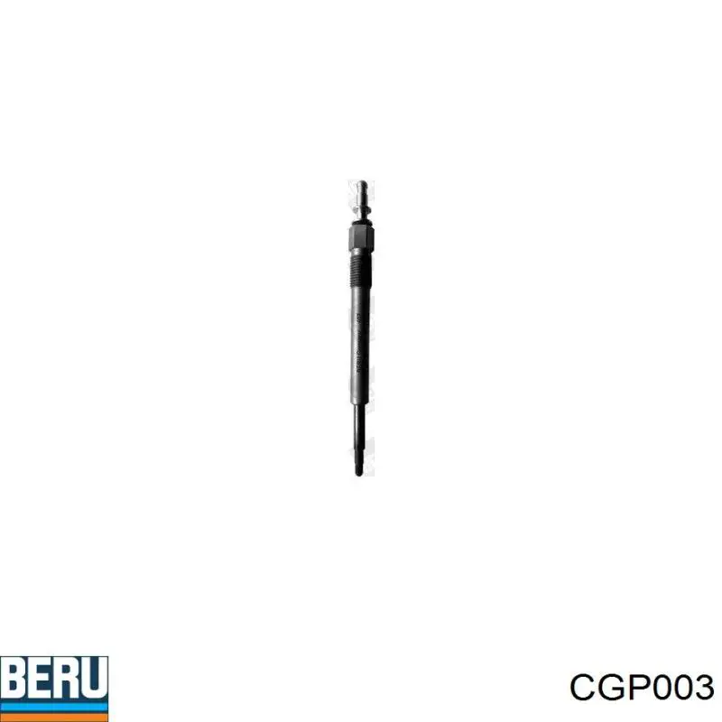  Beru CGP003