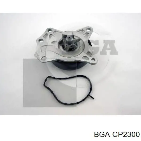 CP2300 BGA Pompa chłodząca wodna
