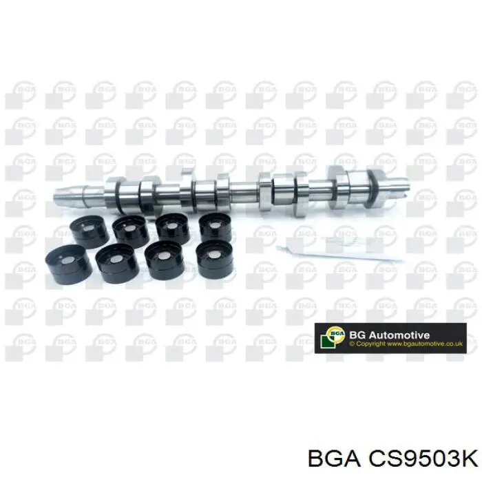 Wał rozrządu silnika, zestaw Borsehung B11307 cena, od 388,04 USD