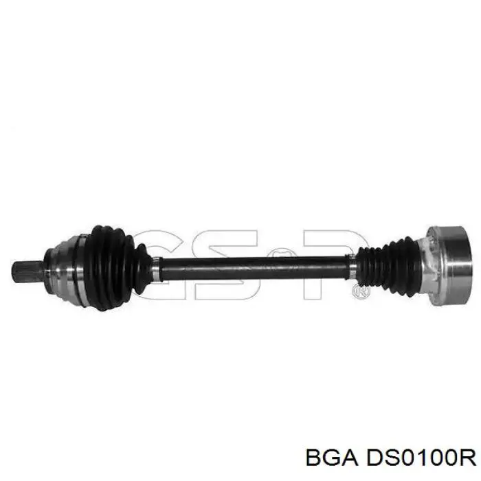  BGA DS0100R