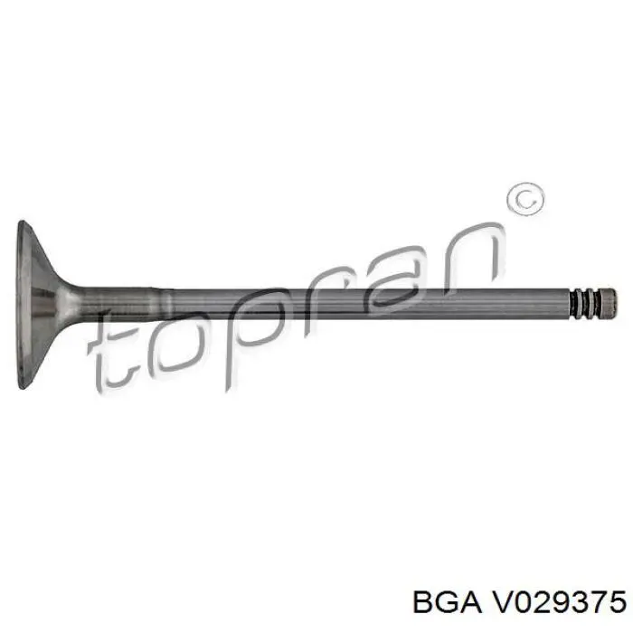 Zawór dolotowy/ssący V029375 BGA