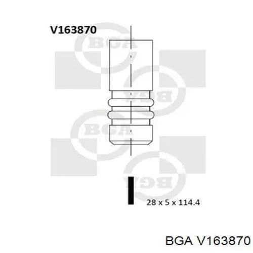 V163870 BGA zawór dolotowy/ssący