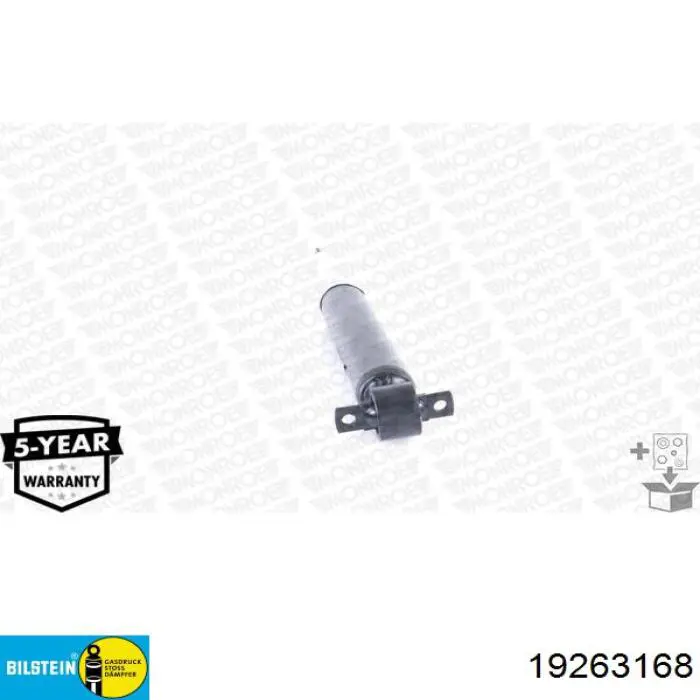 RS319546 Raiso Amortyzator tylny