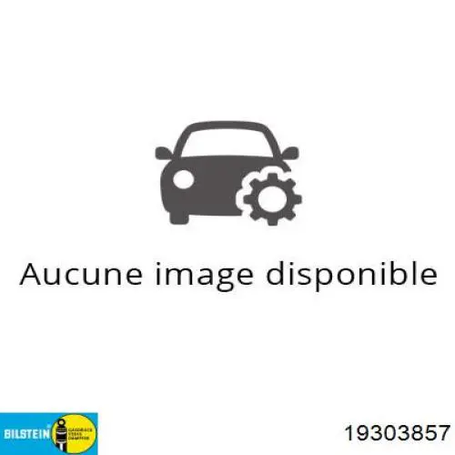 Amortyzator tylny Peugeot/Citroen 9816510580 cena, od 52,30 USD