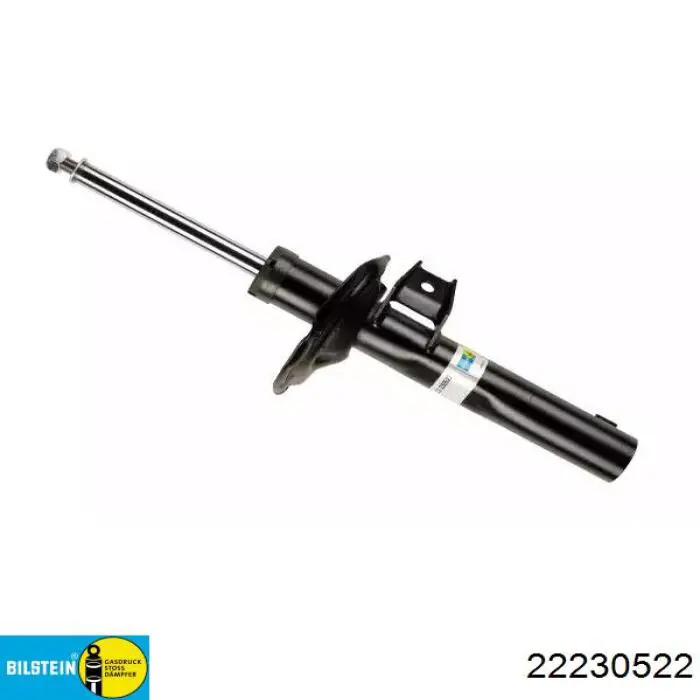 RS315910 Raiso Amortyzator przedni
