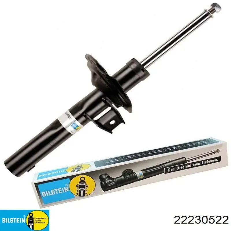 Amortyzator przedni Raiso RS315910 cena, od 69,53 USD
