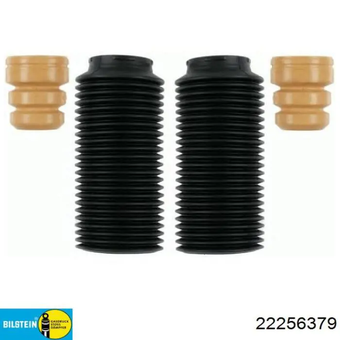 Amortyzator przedni prawy Raiso RS256379