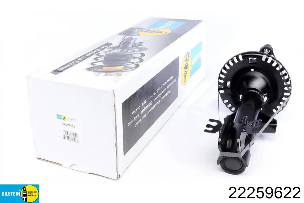 Amortyzator przedni Bilstein 22259622 cena, od 67,32 USD