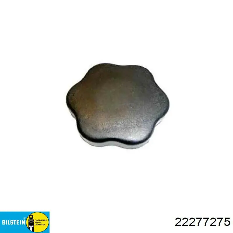 Amortyzator przedni Renault (RVI) 543027301R cena, od 87,04 USD