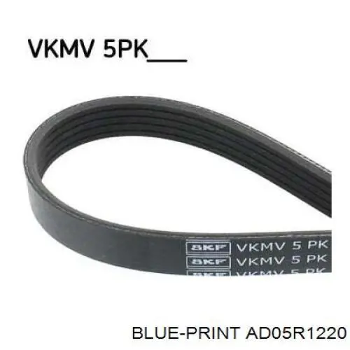 Do koszyka AD05R1220 Blue Print Pas napędowy mechanizmów