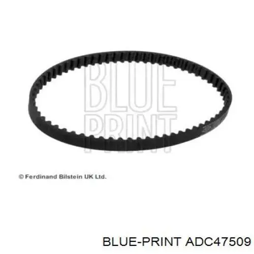 Do koszyka ADC47509 Blue Print Pasek wału wyrównoważającego