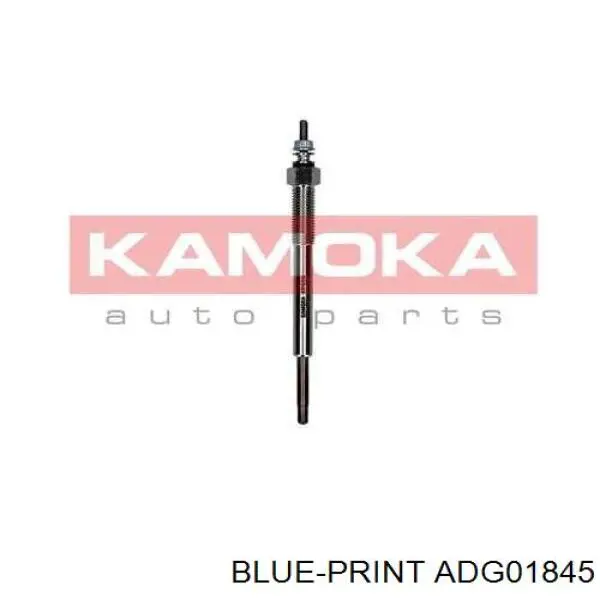 Do koszyka ADG01845 Blue Print Świeca żarowa