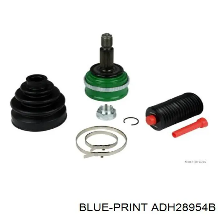 Przegub homokinetyczny przedni zewnętrzny Blue Print ADH28954B cena, od 46,71 USD
