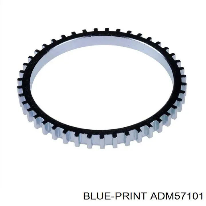 Pierścień ABS Blue Print ADM57101 cena, od 7,77 USD