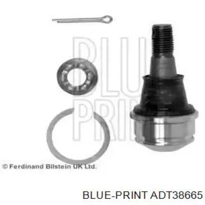 Sworzeń wahacza górny Blue Print ADT38665 cena, od 110,84 USD