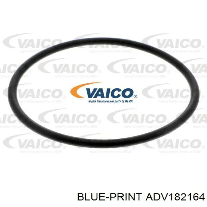 Do koszyka ADV182164 Blue Print Filtr automatycznej skrzyni biegów